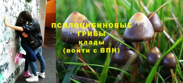 шишки Богданович